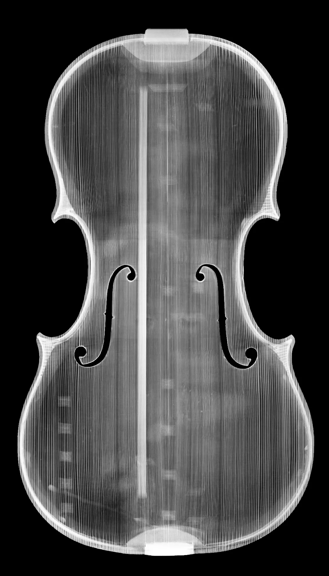 tavola RX